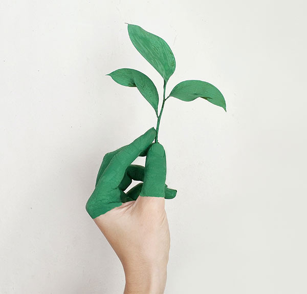 ¿Como ser una empresa verde?